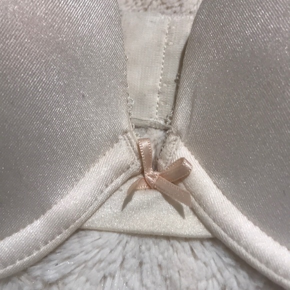 Heidi Klum bra - Picture 3 of 5